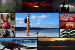 Galapagos-Kleingruppe