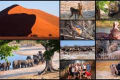 Namibia-Kleingruppe