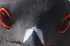 Ecuador-Fotoalbum18