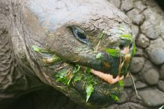 Ecuador-Fotoalbum69
