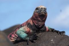 Ecuador-Fotoalbum72