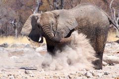 Namibia-Fotoalbum10