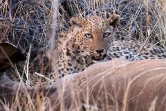 Namibia-Fotoalbum13