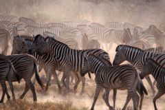 Namibia-Fotoalbum14