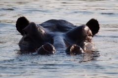 Namibia-Fotoalbum16