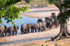 Namibia-Fotoalbum18