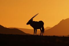 Namibia-Fotoalbum19