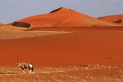 Namibia-Fotoalbum21