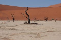 Namibia-Fotoalbum22