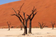 Namibia-Fotoalbum23