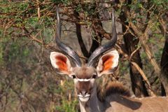 Namibia-Fotoalbum26