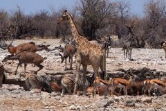 Namibia-Fotoalbum28