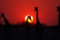 Namibia-Fotoalbum29