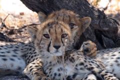 Namibia-Fotoalbum32