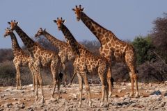 Namibia-Fotoalbum33