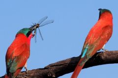 Namibia-Fotoalbum36