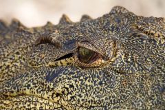 Namibia-Fotoalbum37