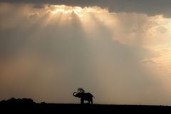 Namibia-Fotoalbum38