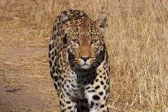 Namibia-Fotoalbum4