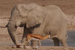 Namibia-Fotoalbum40