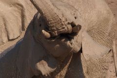 Namibia-Fotoalbum41