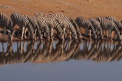 Namibia-Fotoalbum43