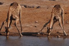 Namibia-Fotoalbum44