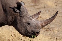 Namibia-Fotoalbum8
